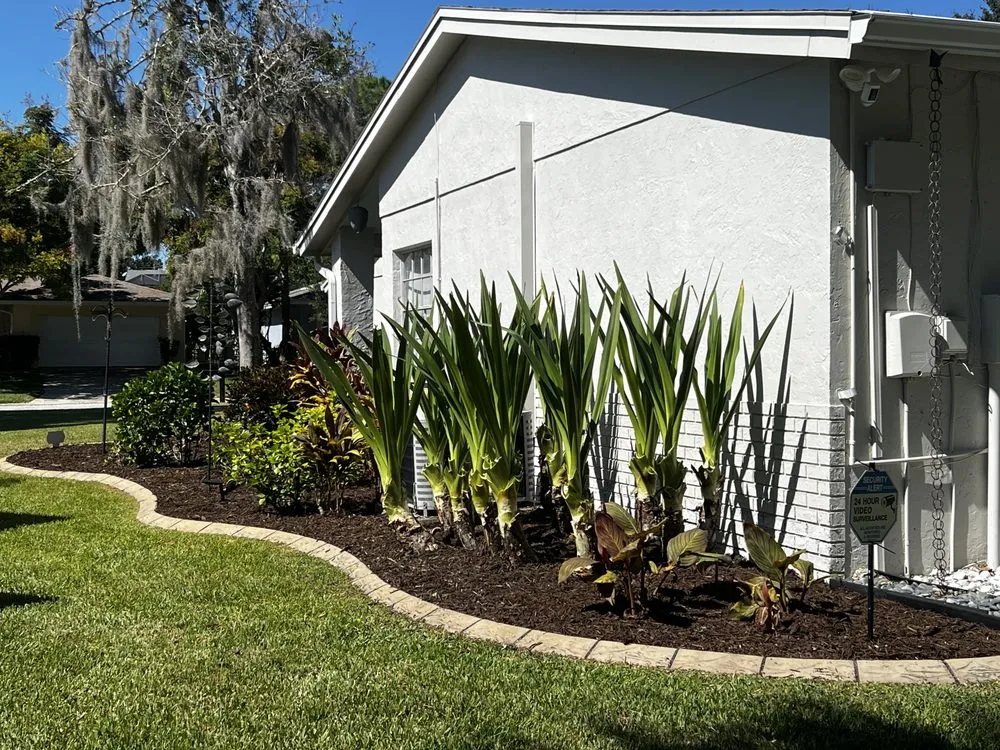 Expert landscaping services experts serving New Port Richey, FL - Saia Creative Designs Landscape & Hauling