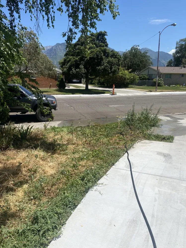 Top-rated lawn care service experts serving Pleasant Grove, UT - Said Landscaping