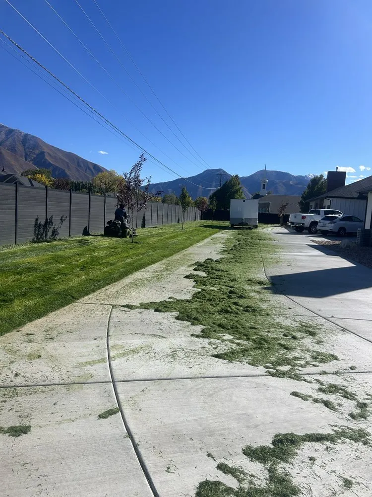 Expert yard cleanup service experts serving Pleasant Grove, UT - Said Landscaping