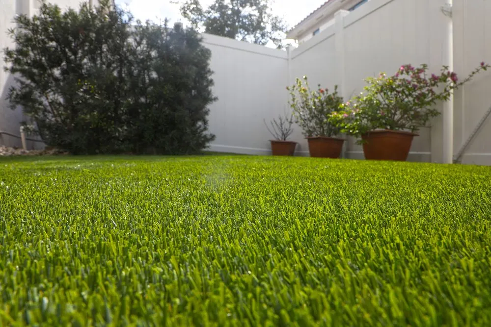 Affordable lawn care service near you in Palm City, FL by Sailfish Turf
