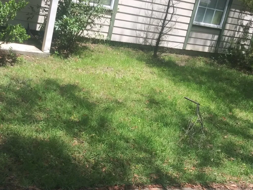 Reliable garden landscaping in Tallahassee, FL by Sailor Outdoor Services