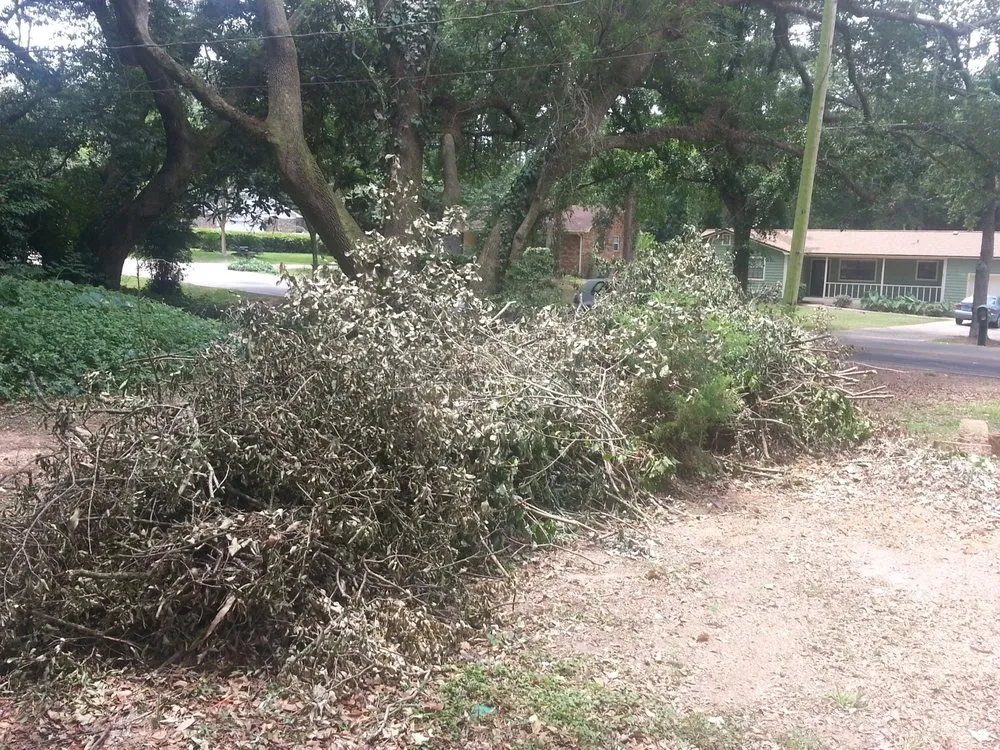 Reliable yard cleanup service for outdoor upgrades across Tallahassee, FL - Sailor Outdoor Services