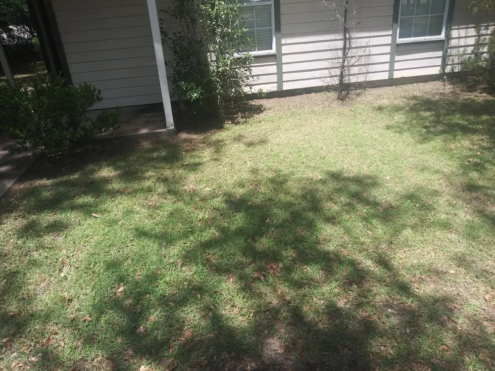 Custom yard maintenance for year-round maintenance across Tallahassee, FL - Sailor Outdoor Services