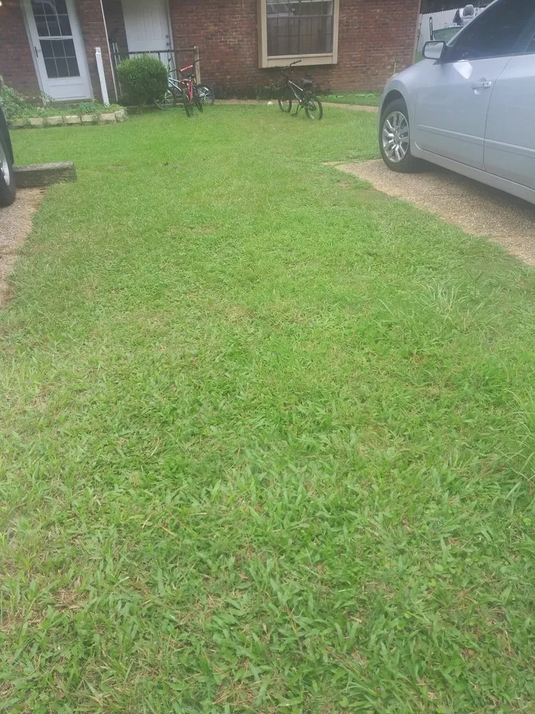 Professional outdoor landscaping for homes across Tallahassee, FL - Sailor Outdoor Services