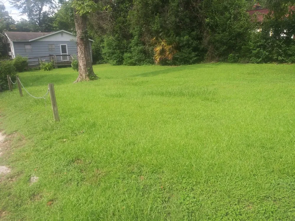 Affordable landscape installation with custom design in Tallahassee, FL by Sailor Outdoor Services