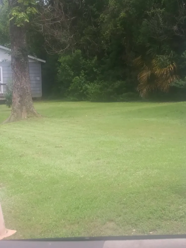 Reliable yard cleanup service experts serving Tallahassee, FL - Sailor Outdoor Services