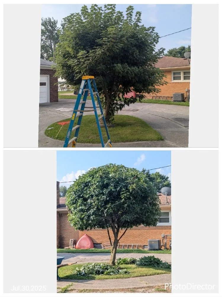 Expert garden landscaping in Russell Island, MI - Saint Clair Home Services
