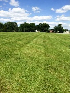 Affordable lawn care service in St. Cloud, MN - Saint Cloud Lawn Service