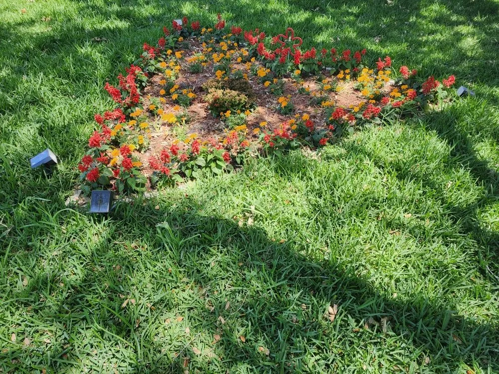 Professional lawn mowing service for beautiful yards across Tampa Bay, FL - Saint-Fleur Lawn Care and Landscaping