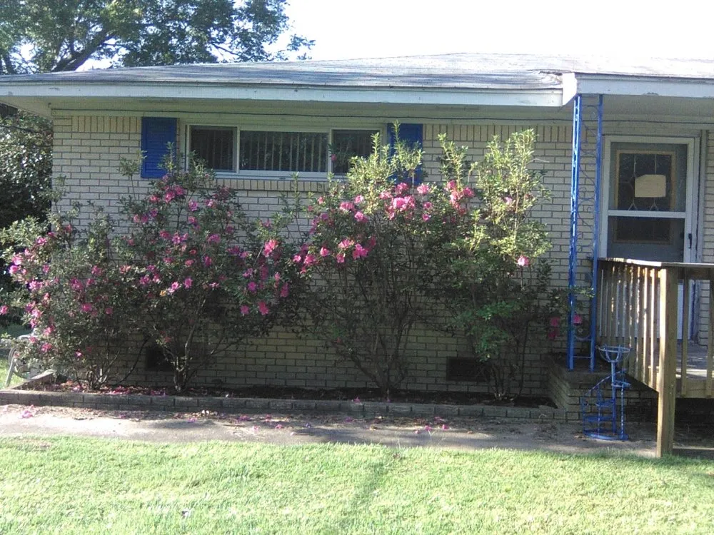 Reliable yard cleanup service in Cabot, AR - Saint's Creations Lawn Care & Small Engines