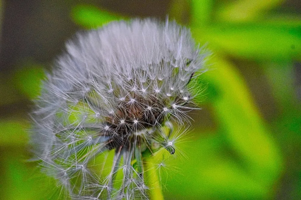 Top-rated residential landscaping experts serving Cabot, AR - Saint's Creations Lawn Care & Small Engines