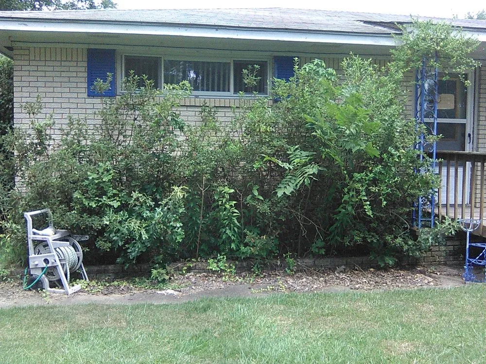 Expert lawn care service for outdoor upgrades across Cabot, AR - Saint's Creations Lawn Care & Small Engines