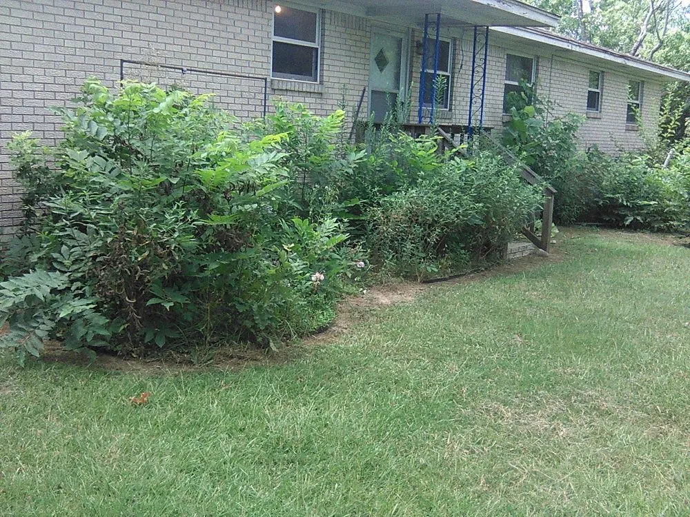 Expert landscape installation for year-round maintenance across Cabot, AR - Saint's Creations Lawn Care & Small Engines