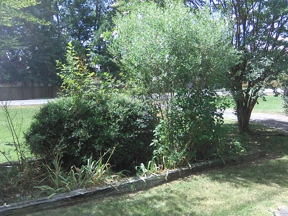 Top-rated lawn care service near you across Cabot, AR - Saint's Creations Lawn Care & Small Engines