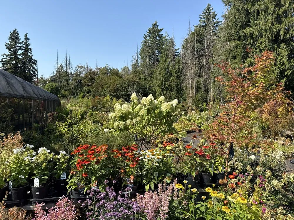 Reliable landscape design in Woodburn, OR by Saints Maintenance