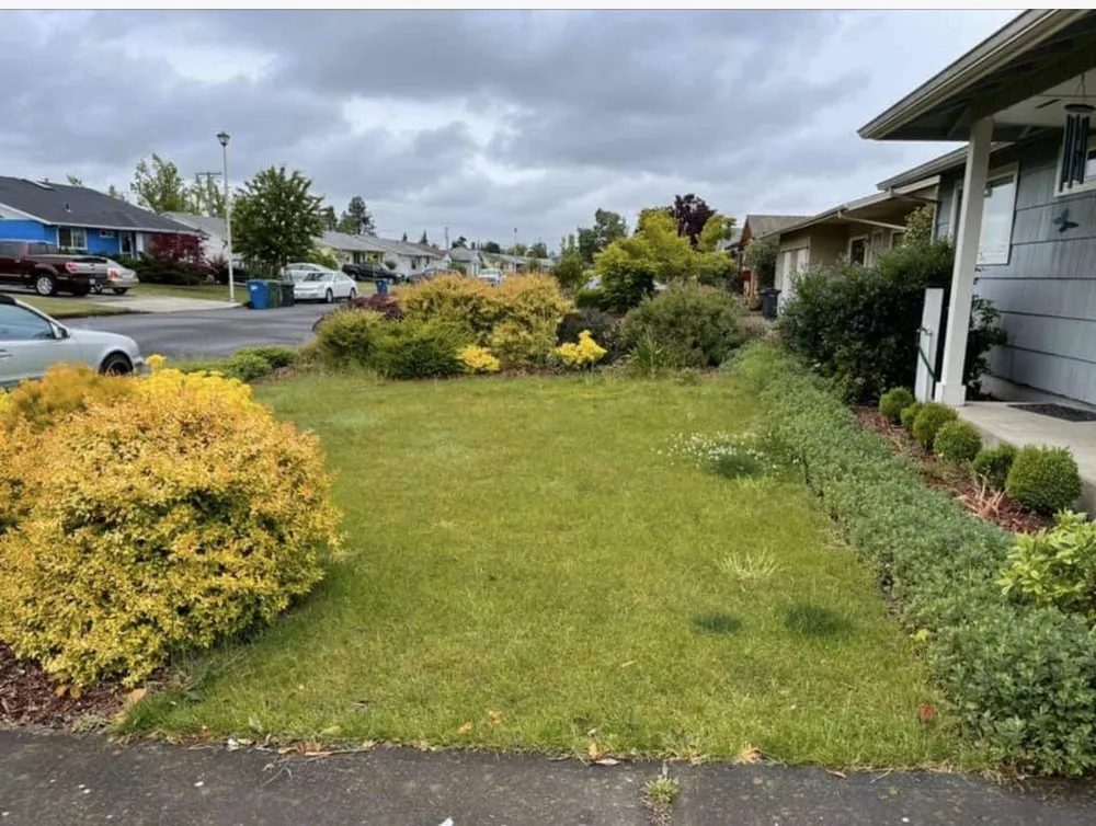 Top-rated yard maintenance for homes in Woodburn, OR by Saints Maintenance