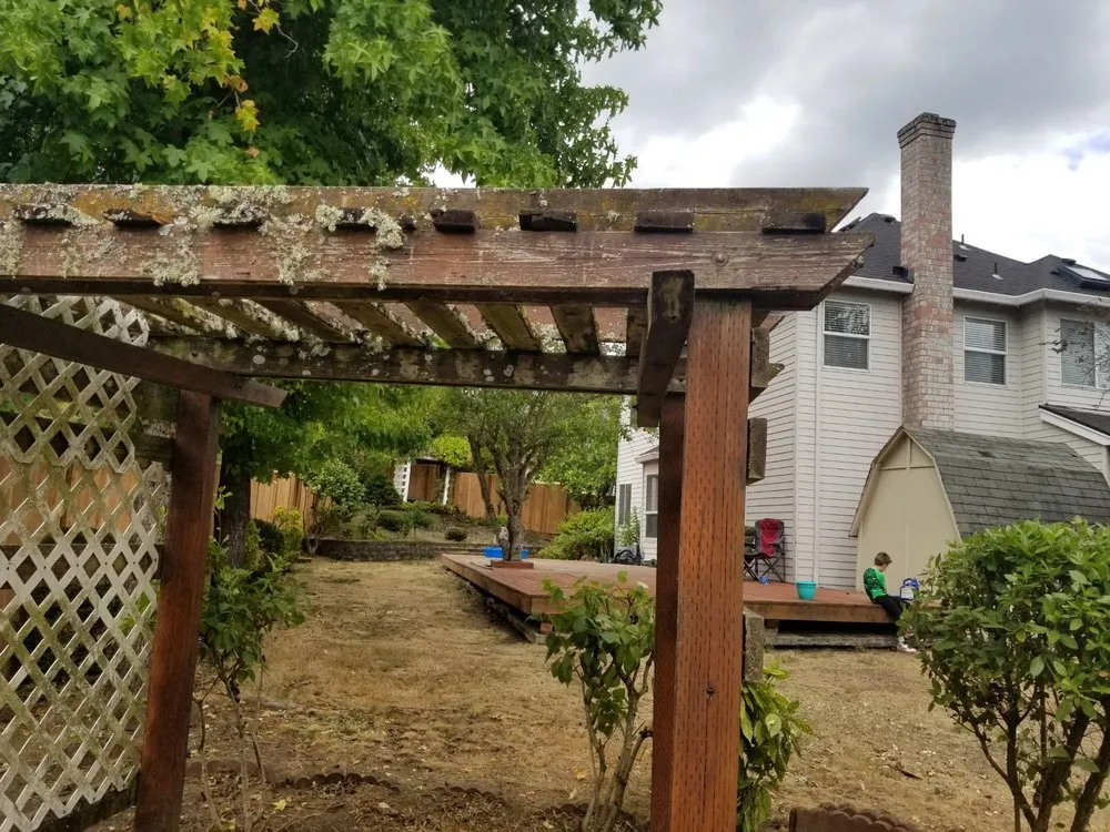 Trusted lawn care service for beautiful yards in Woodburn, OR by Saints Maintenance