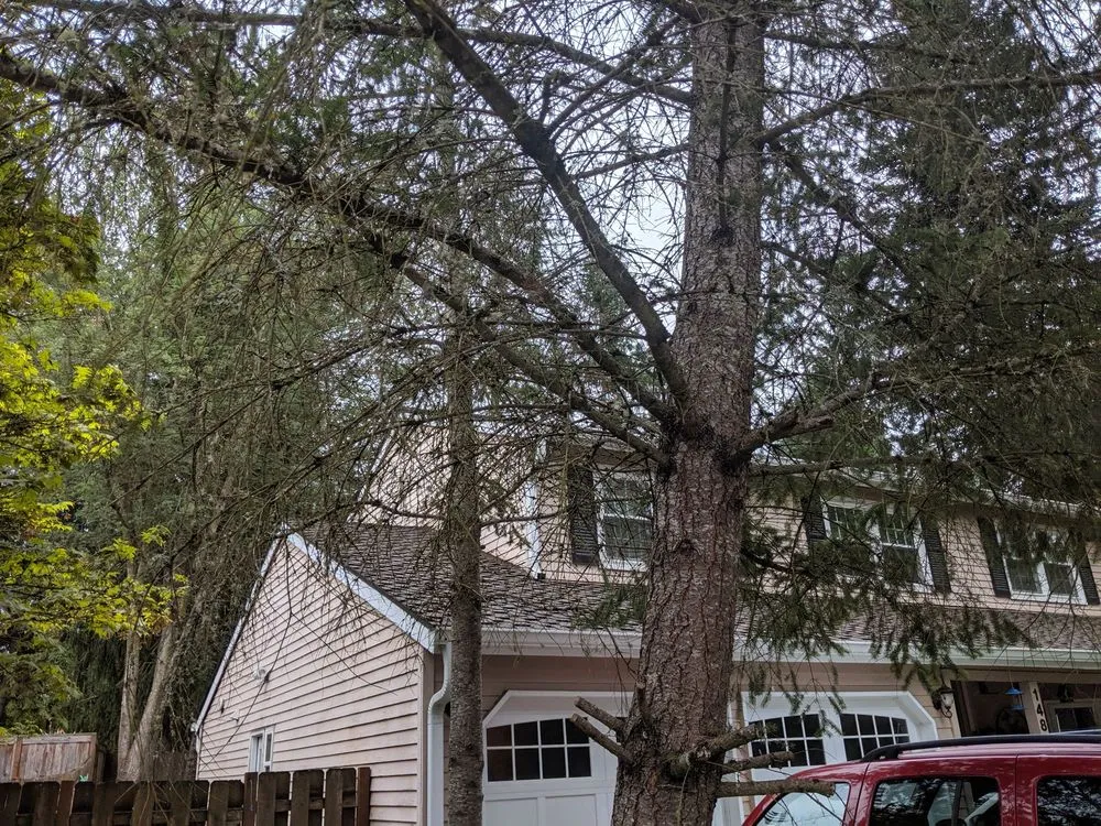 Affordable lawn mowing service experts serving Woodburn, OR - Saints Maintenance