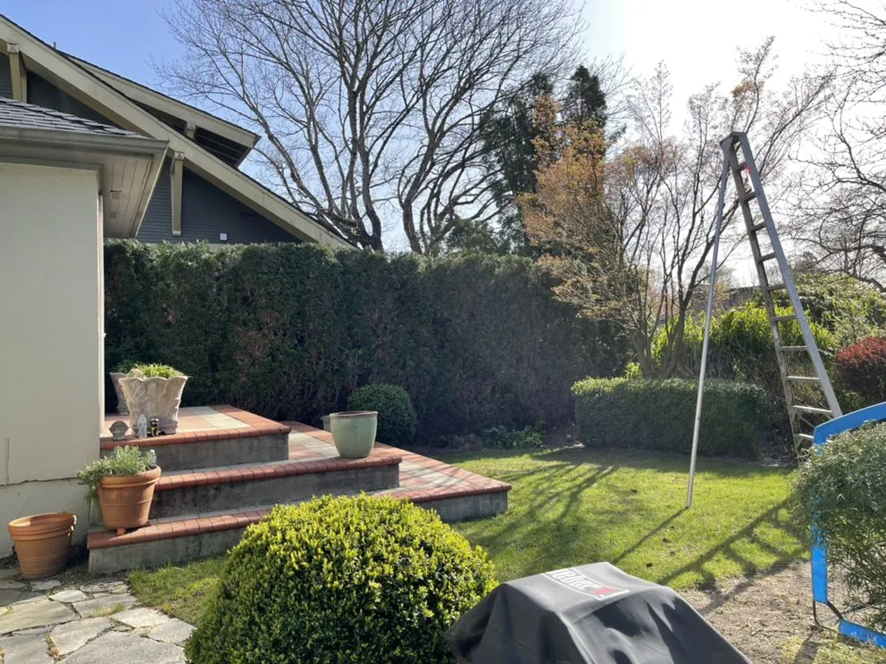 Expert residential landscaping for beautiful yards across Woodburn, OR - Saints Maintenance