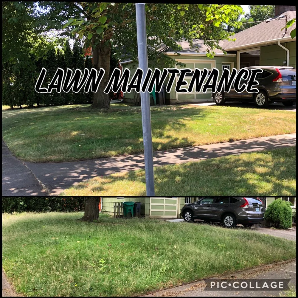 Affordable residential landscaping with custom design in Woodburn, OR by Saints Maintenance