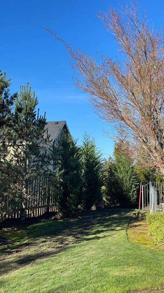 Top-rated lawn mowing service for year-round maintenance in Woodburn, OR by Saints Maintenance