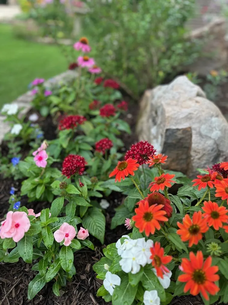 Affordable landscaping services for beautiful yards across Northlake, TX - SaintSational Landscape
