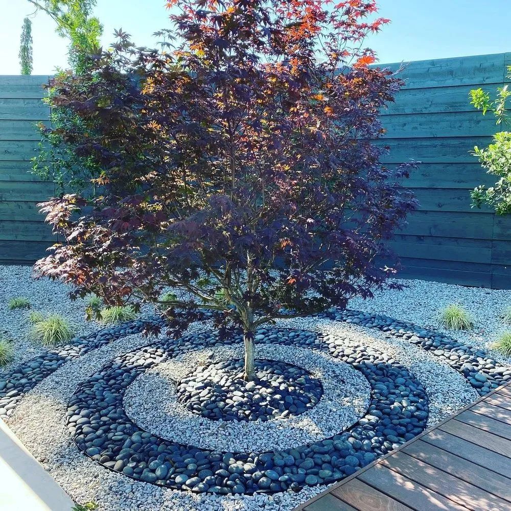 Reliable lawn mowing service with custom design in Northlake, TX by SaintSational Landscape