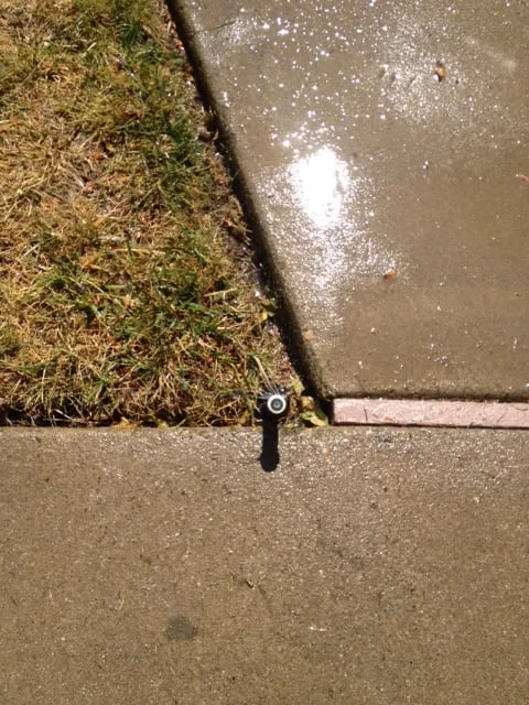 Reliable yard cleanup service in Discovery Bay, CA - Saitta's Gardening & Landscape