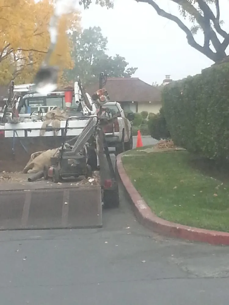 Affordable yard maintenance in Discovery Bay, CA by Saitta's Gardening & Landscape