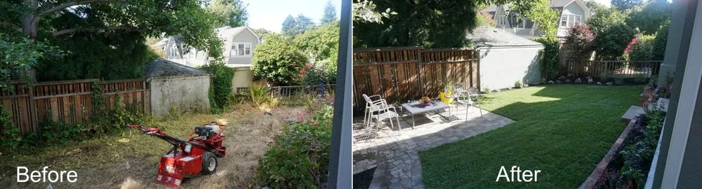 Reliable lawn care service experts serving Discovery Bay, CA - Saitta's Gardening & Landscape