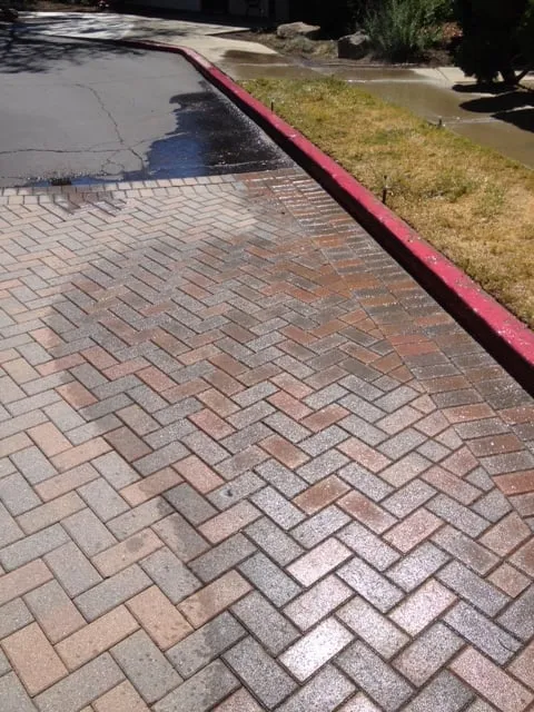 Reliable outdoor landscaping in Discovery Bay, CA - Saitta's Gardening & Landscape