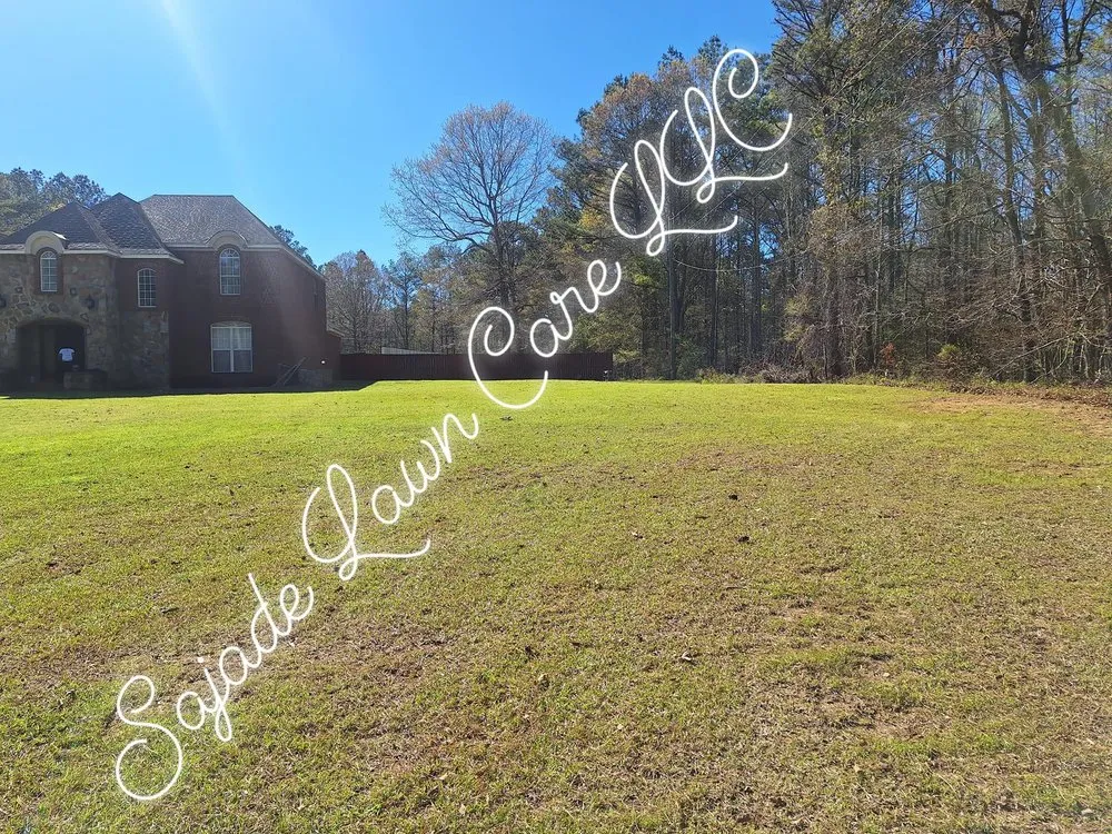 Expert lawn care service in Lexington, MS by Sajade Lawn Care