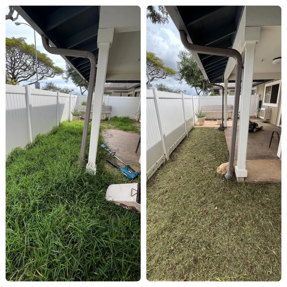 Professional lawn care service for residential properties in Honolulu, HI by Sakura Landscaping