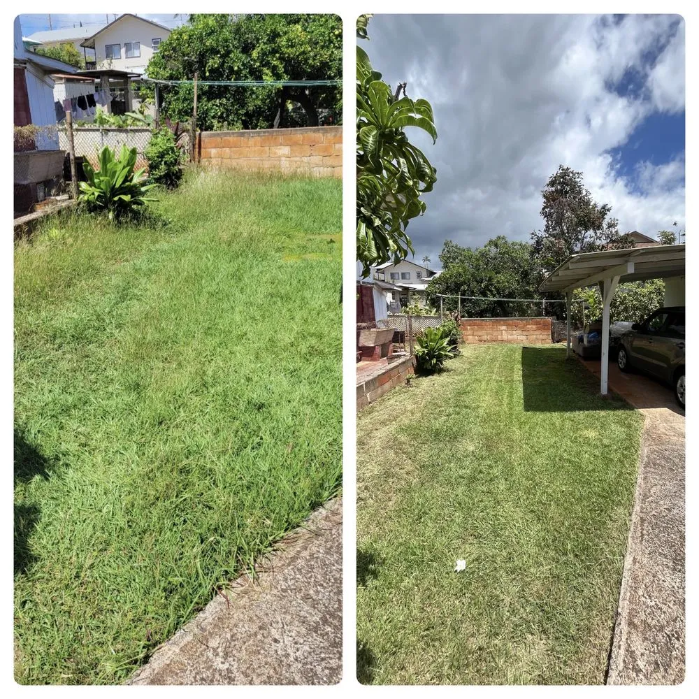 Professional landscape design in Honolulu, HI - Sakura Landscaping