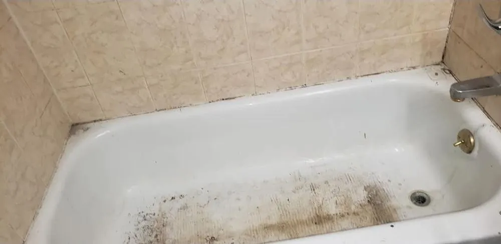 Local garden landscaping experts serving Aurora, IL - Sal and Clau Services