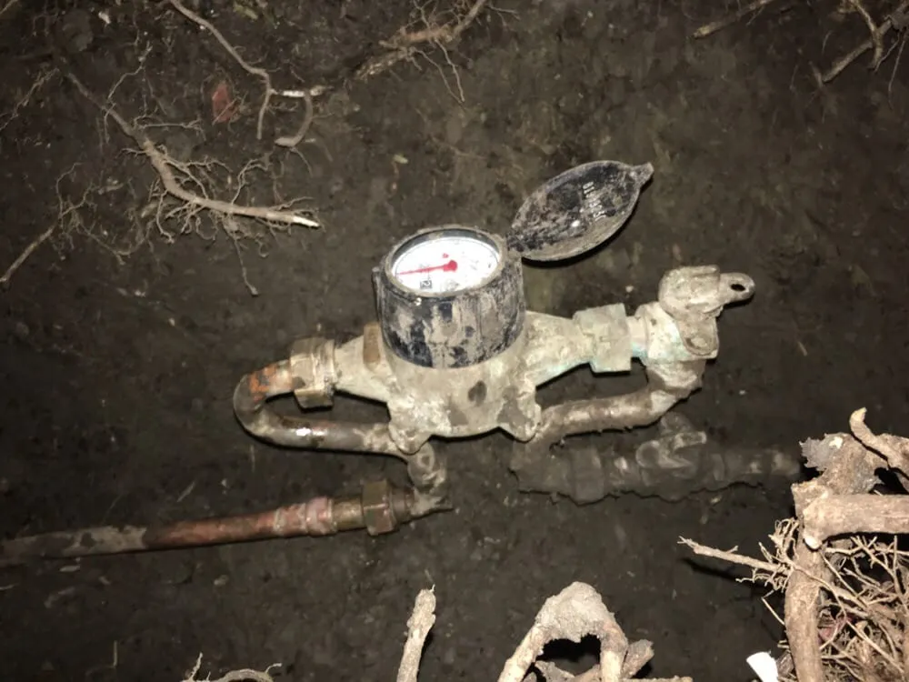 Custom yard cleanup service for beautiful yards in Concord, CA by Sal Gutierrez Gardening Service