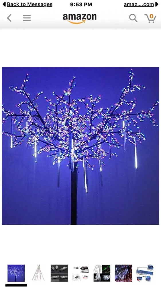 Top-rated yard maintenance experts serving Concord, CA - Sal Gutierrez Gardening Service