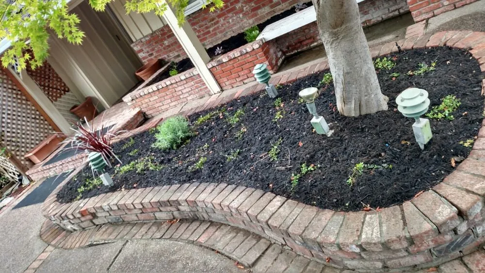 Expert residential landscaping in Concord, CA - Sal Gutierrez Gardening Service