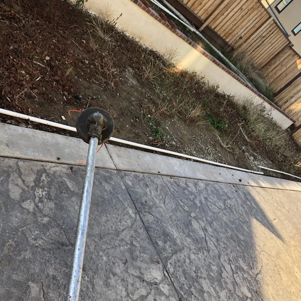 Professional yard maintenance in Concord, CA by Sal Gutierrez Gardening Service