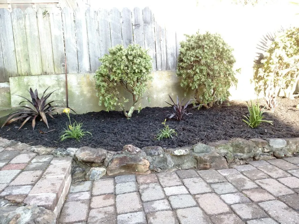 Local landscaping services experts serving Concord, CA - Sal Gutierrez Gardening Service