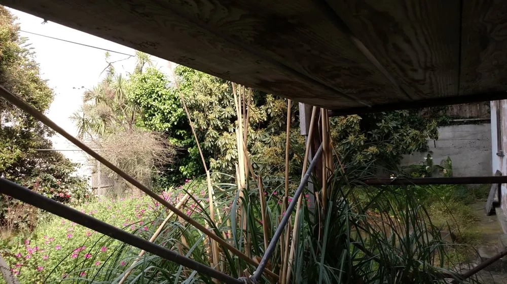 Top-rated lawn mowing service for outdoor upgrades across Concord, CA - Sal Gutierrez Gardening Service