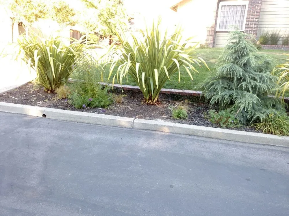 Trusted garden landscaping experts serving Concord, CA - Sal Gutierrez Gardening Service