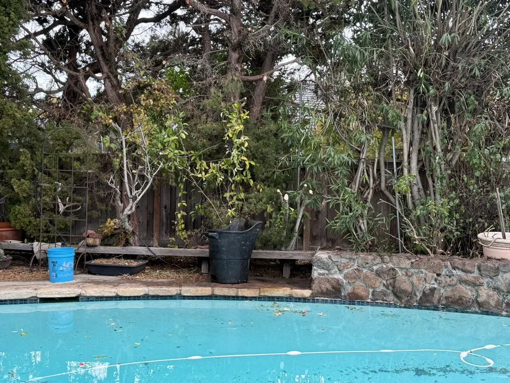 Local landscaping services in Concord, CA - Sal Gutierrez Gardening Service