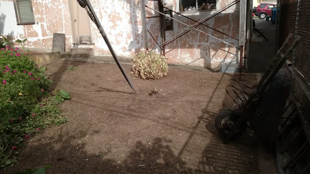 Custom yard cleanup service in Concord, CA - Sal Gutierrez Gardening Service