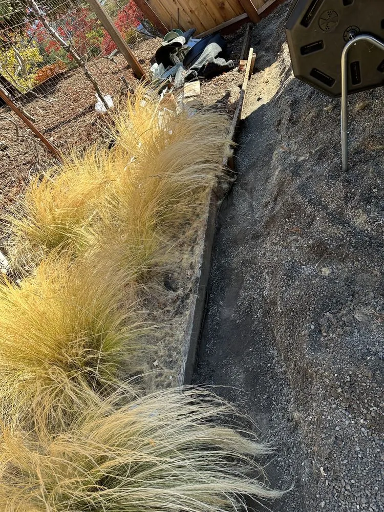 Top-rated residential landscaping in Concord, CA - Sal Gutierrez Gardening Service