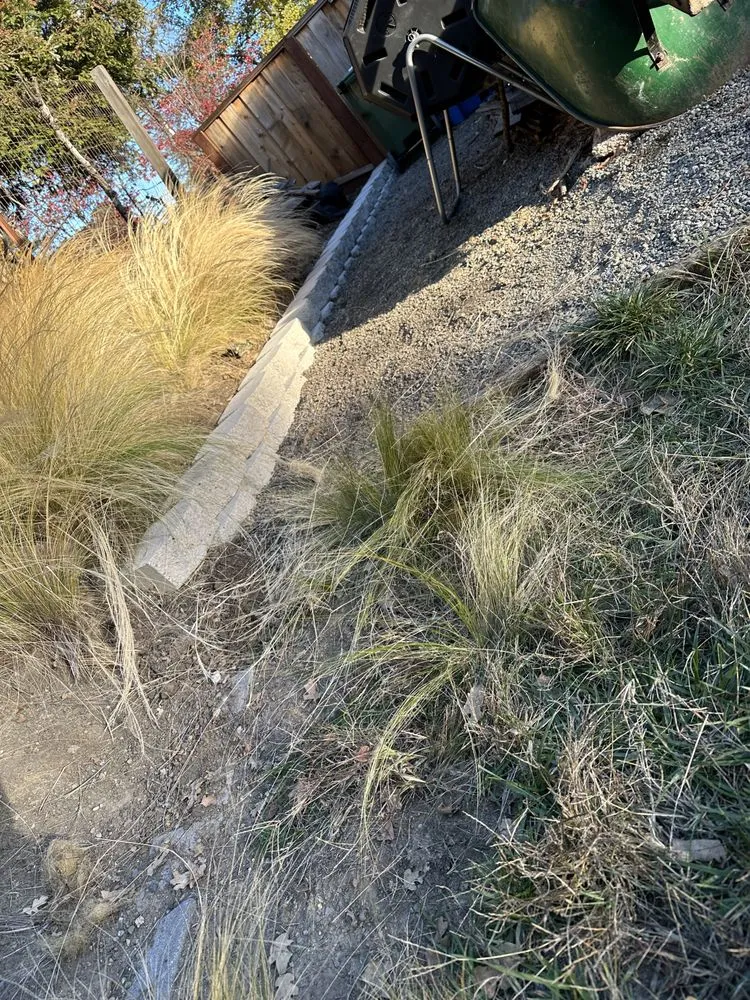 Professional residential landscaping for homes in Concord, CA by Sal Gutierrez Gardening Service