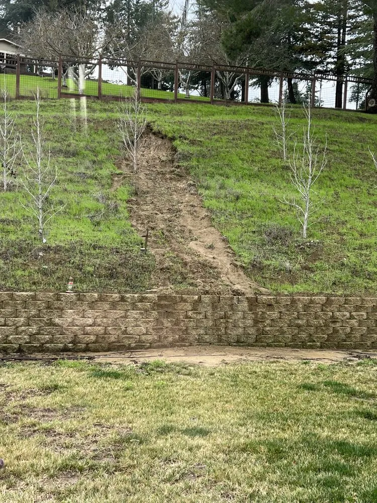 Reliable residential landscaping experts serving Concord, CA - Sal Gutierrez Gardening Service