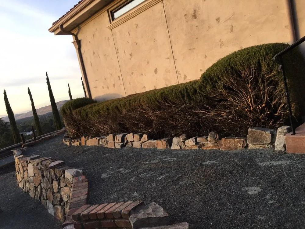 Expert landscape design experts serving Concord, CA - Sal Gutierrez Gardening Service
