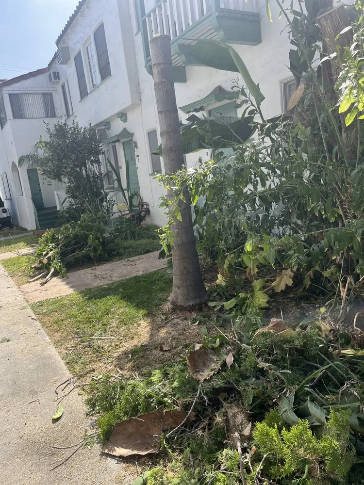 Top-rated garden landscaping in Lawndale, CA by Sal Landscaping