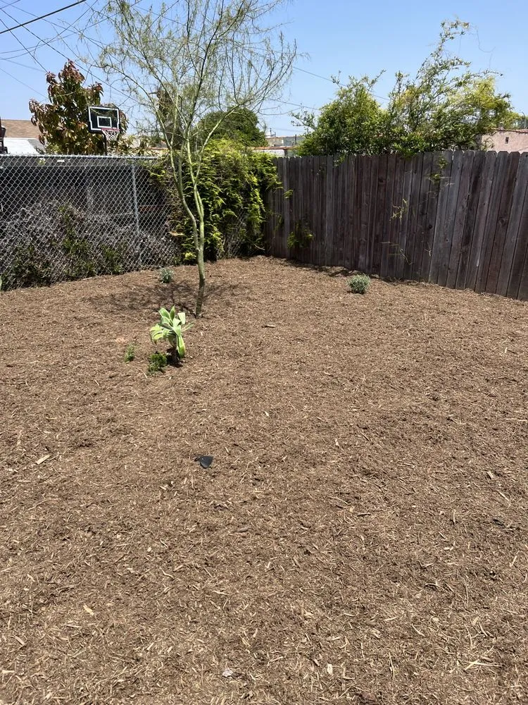 Local residential landscaping for outdoor upgrades across Lawndale, CA - Sal Landscaping